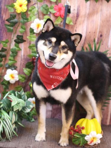 20230820ココくん